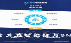  TP钱包：探索其在智能链与BNB链中的角色