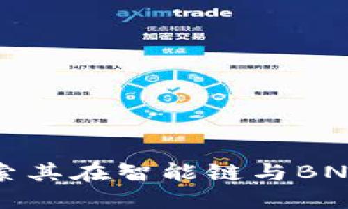  TP钱包：探索其在智能链与BNB链中的角色