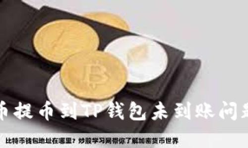 如何解决货币提币到TP钱包未到账问题的详细指南
