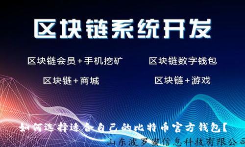 如何选择适合自己的比特币官方钱包？