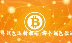 : 比特币钱包选择指南：哪