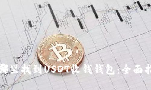 在哪里找到USDT收钱钱包：全面指南