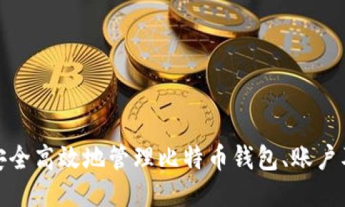 如何安全高效地管理比特币钱包、账户及地址