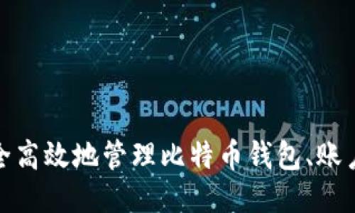 如何安全高效地管理比特币钱包、账户及地址