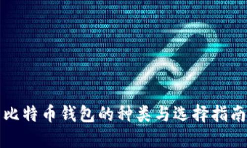 比特币钱包的种类与选择指南