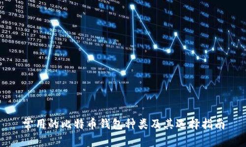 常用的比特币钱包种类及其选择指南
