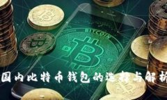 国内比特币钱包的选择与