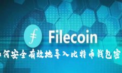如何安全有效地导入比特