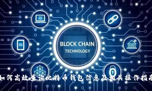 如何高效查询比特币钱包信息及相关操作指南