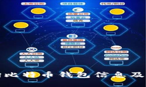 如何高效查询比特币钱包信息及相关操作指南