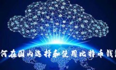 如何在国内选择和使用比