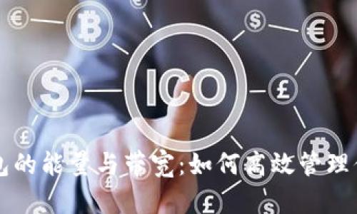 深入理解TP钱包的能量与带宽：如何高效管理你的区块链资产