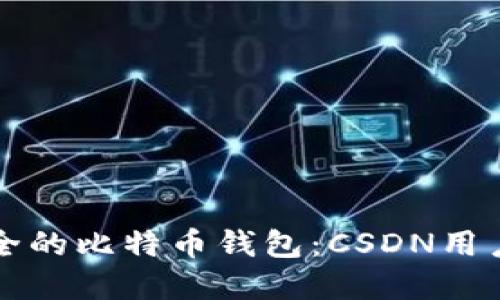 如何选择安全的比特币钱包：CSDN用户的完整指南