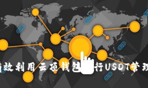  如何有效利用云顶钱包进行USDT管理与投资