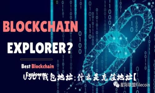  USDT钱包地址：什么是充值地址？