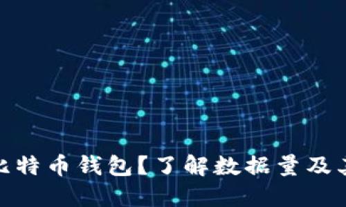 如何选择适合你的比特币钱包？了解数据量及其对使用体验的影响