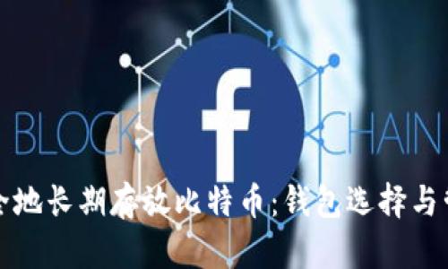 如何安全地长期存放比特币：钱包选择与管理技巧
