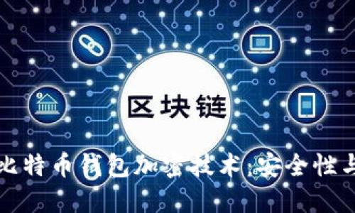 深入探讨比特币钱包加密技术：安全性与隐私保护