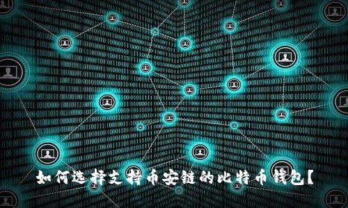 如何选择支持币安链的比特币钱包？
