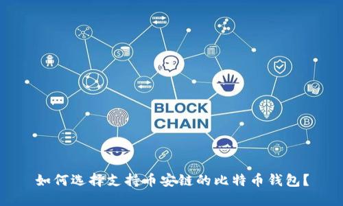 如何选择支持币安链的比特币钱包？