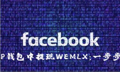  如何在TP钱包中提现WEMLX：一步步详细指南