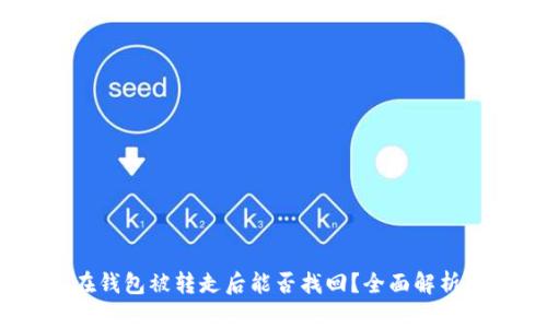 USDT在钱包被转走后能否找回？全面解析与对策