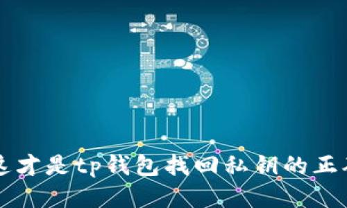 丢失私钥？这才是tp钱包找回私钥的正确打开方式！