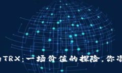 TP钱包中的TRX：一场价值的探险，你准备好了吗？