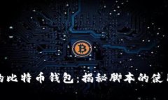 如何实时监测你的比特币钱包：揭秘脚本的使用