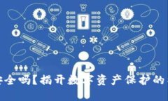 TP钱包安全吗？揭开数字资