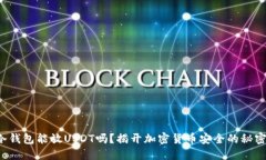 冷钱包能放USDT吗？揭开加密货币安全的秘密！