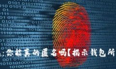 比特币钱包：你能真的匿名吗？揭示钱包所有者