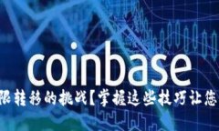 如何应对TP钱包权限转移的挑战？掌握这些技巧让