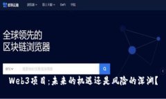 Web3项目：未来的机遇还是风险的深渊？