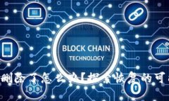 “TP钱包意外删除了怎么办？探索恢复的可能性与