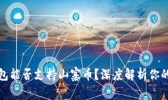 TP钱包能否支持山寨币？深度解析你的疑问