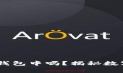 USDT可以存储在冷钱包中吗？揭秘数字货币的安全