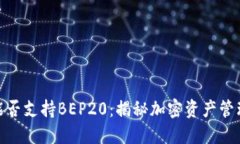 TP钱包能否支持BEP20：揭秘加密资产管理的关键