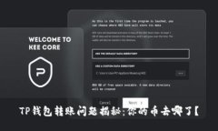 TP钱包转账问题揭秘：你的币去哪了？