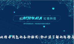 揭秘比特币钱包的各种格