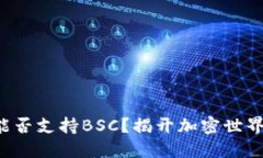TP钱包能否支持BSC？揭开加密世界的秘密！