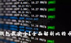 什么比特币钱包最安全？全面解析比特币钱包安