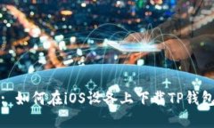 : 如何在iOS设备上下载TP钱