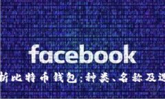 全面解析比特币钱包：种类、名称及选择指南