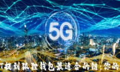 使用USDT提到狐狸钱包最适合的链：你的全面指南