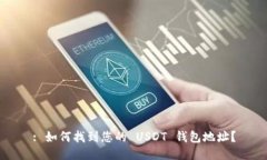 : 如何找到您的 USDT 钱包地