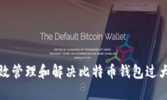 如何高效管理和解决比特币钱包过大的问题