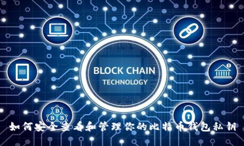 如何安全查看和管理你的比特币钱包私钥