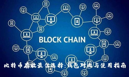 比特币存放最佳选择：钱包对比与使用指南