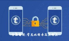 全面解析：常见比特币及